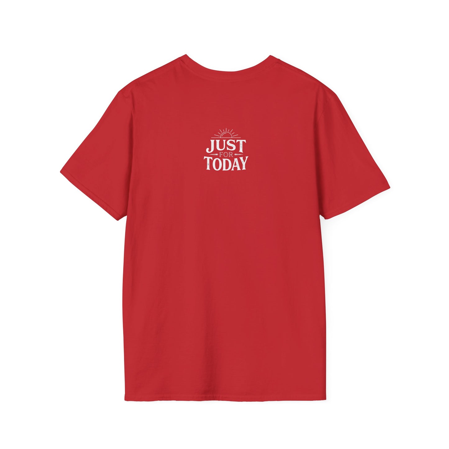 “Pickles Can’t Become Cucumbers Again” Funny Recovery Tee | Amends Apparel Co