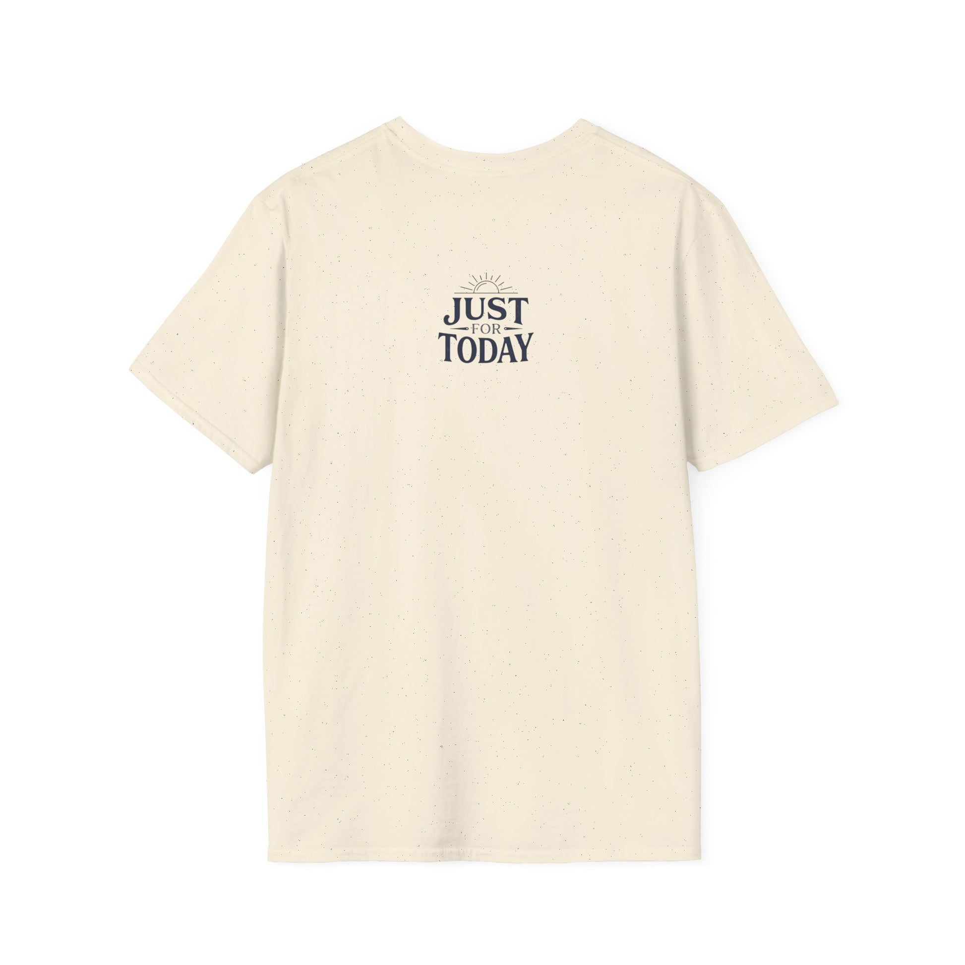 “Pickles Can’t Become Cucumbers Again” Funny Recovery Tee | Amends Apparel Co