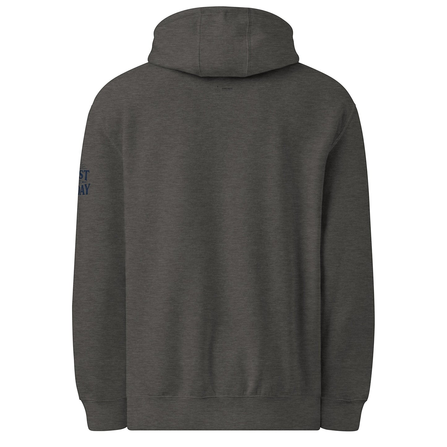AmendsApparelCo dark grey cotton-polyester blend hoodie with "Do the Next Right Thing" text on sleeve.