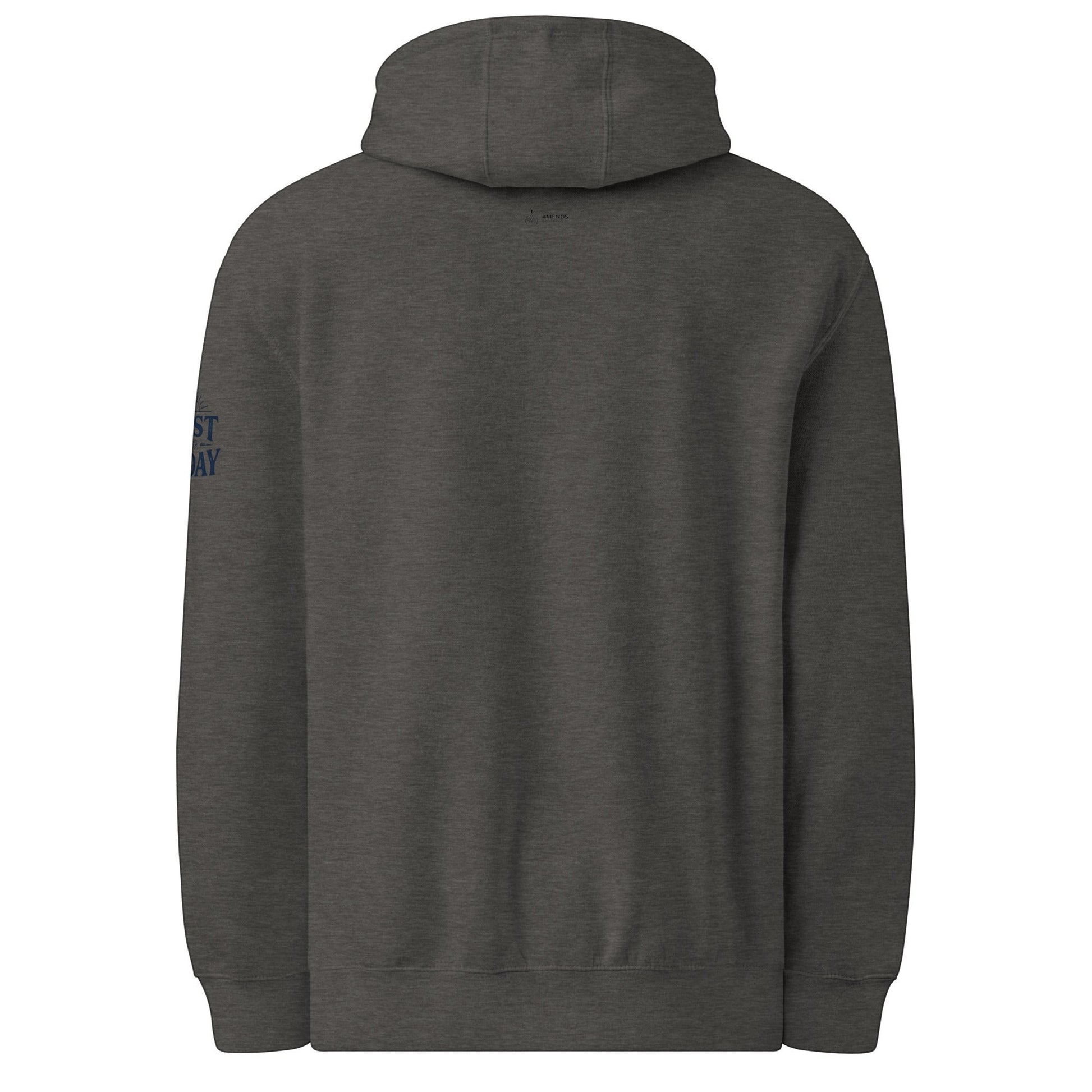 AmendsApparelCo dark grey cotton-polyester blend hoodie with "Do the Next Right Thing" text on sleeve.